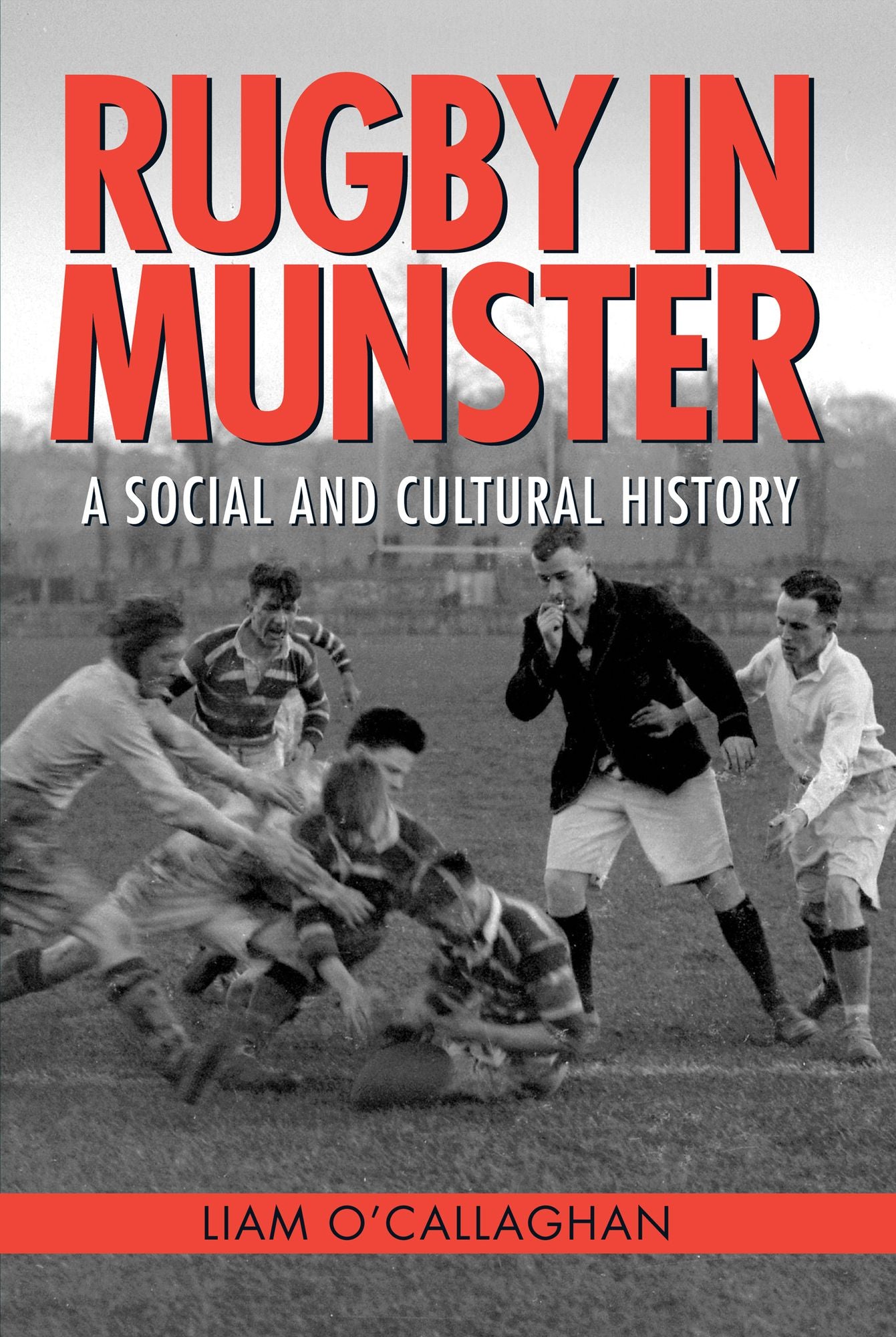 Rugby in Munster: A Social and Cultural History
