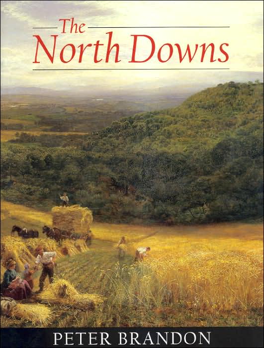 The North Downs