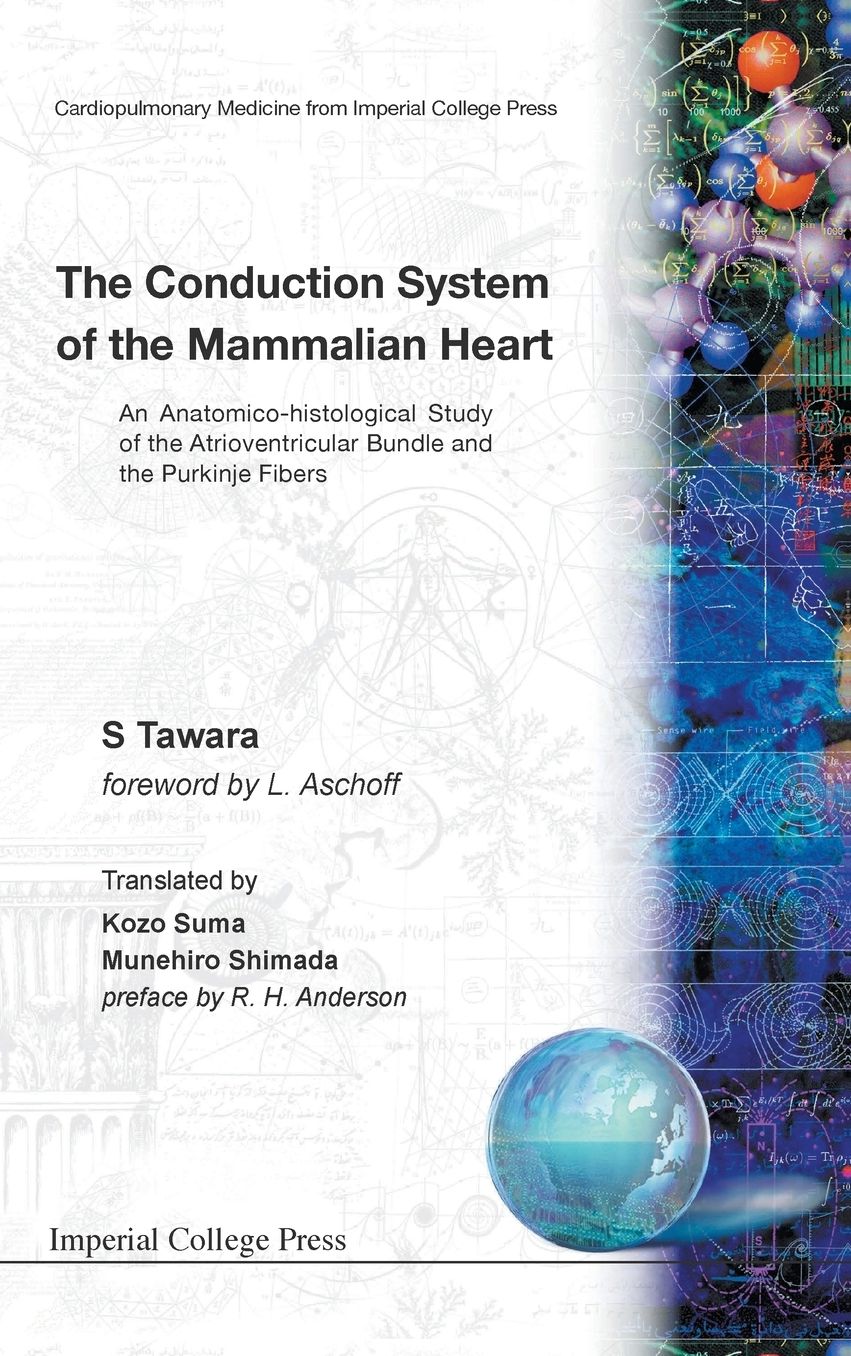 Conduction System of the Mammalian Heart: An Anatomico-Histological Study of the Atrioventricular Bundle and the Purkinje Fibers