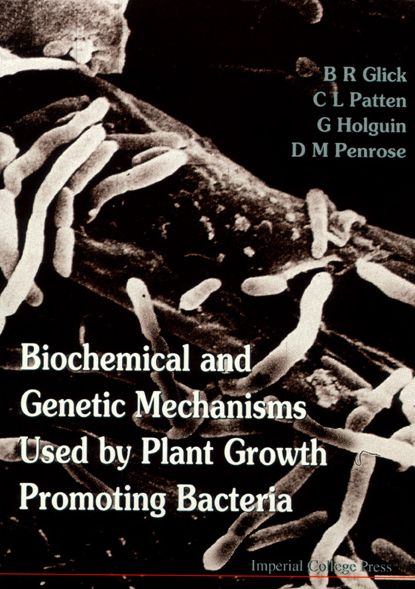 Biochemical And Genetic Mechanisms Used By Plant Growth Promoting Bacteria