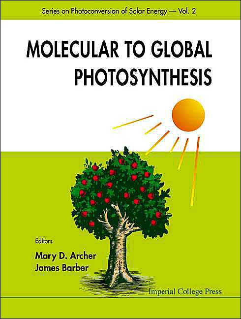 Molecular To Global Photosynthesis