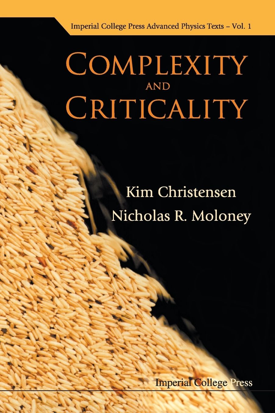 Complexity and Criticality