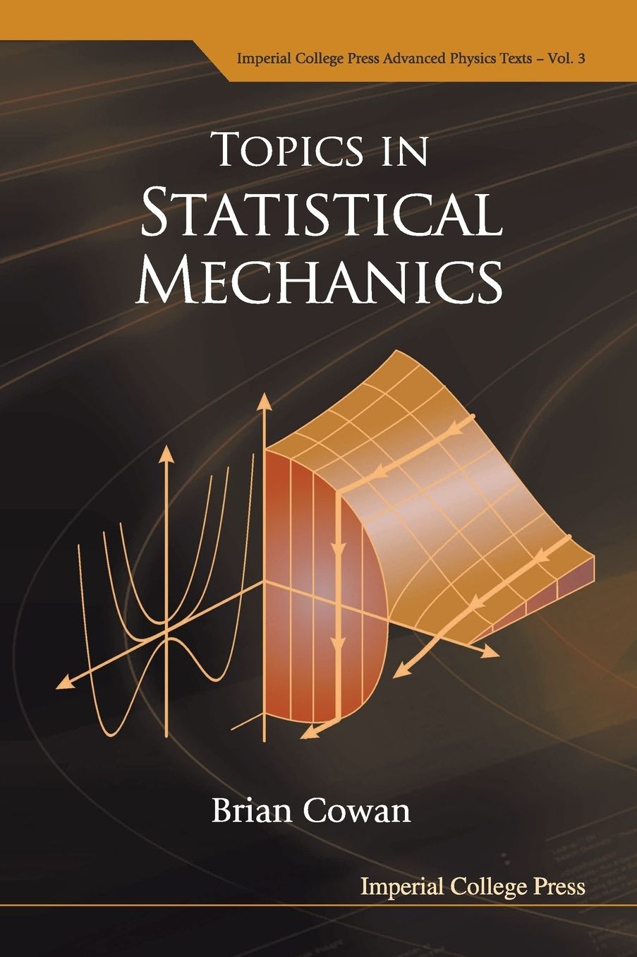 Topics in Statistical Mechanics