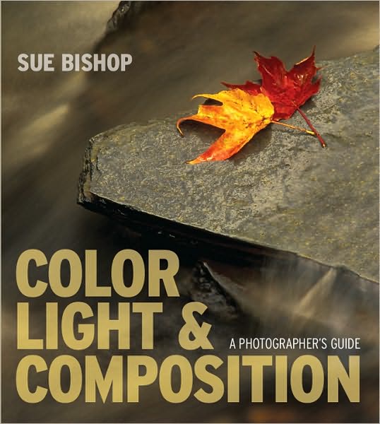 Color, Light & Composition: A Photographer's Guide