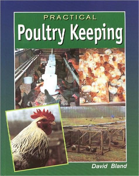 Practical Poultry Keeping