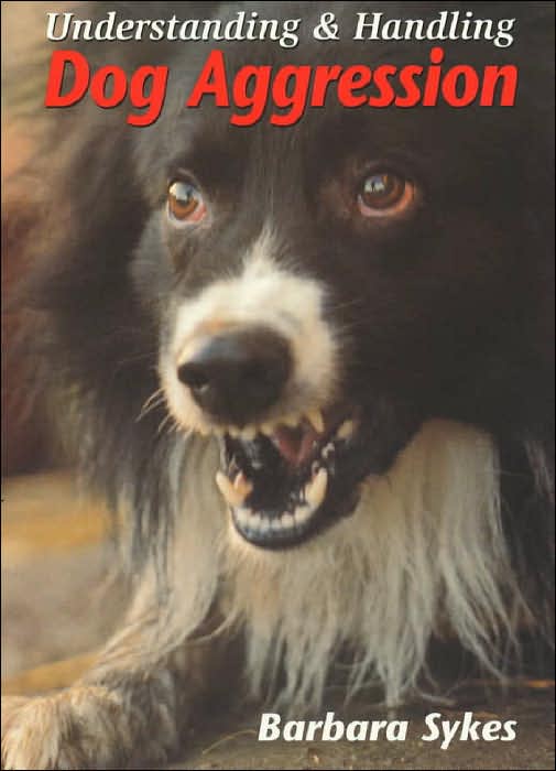 Understanding and Handling Dog Aggression