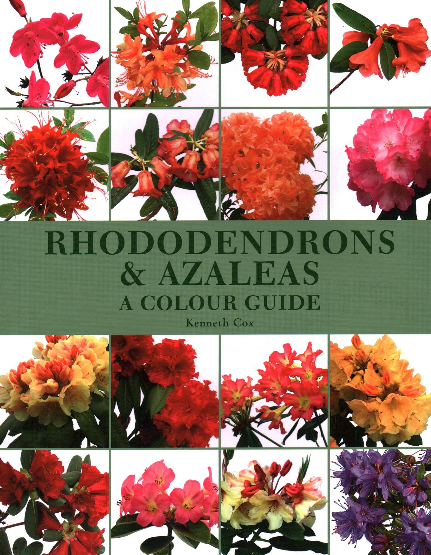 Rhododendrons and Azaleas: A Colour Guide