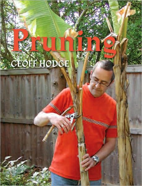 Pruning