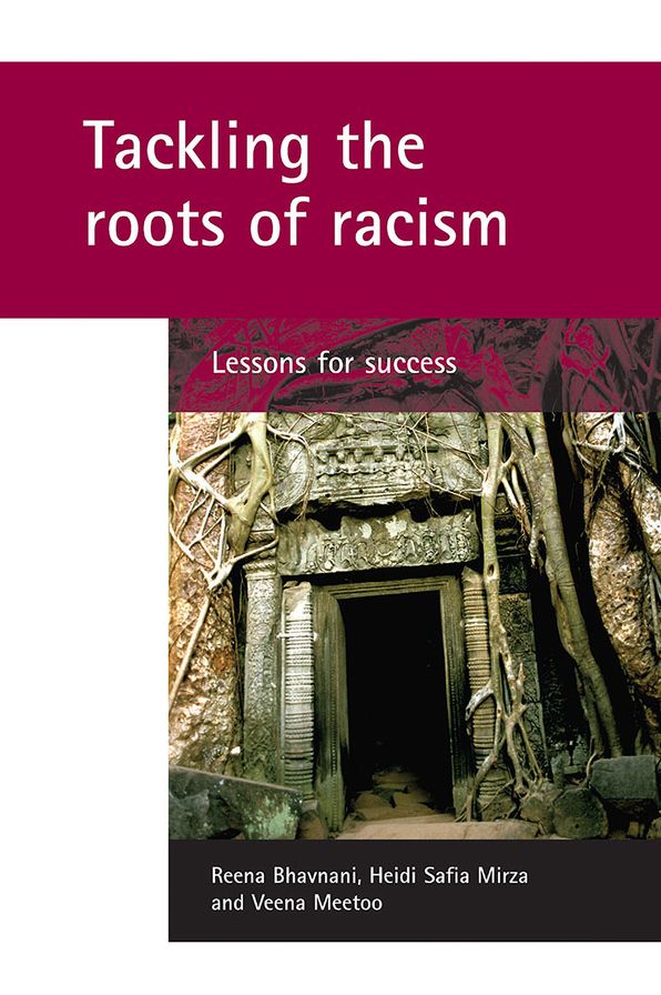 Tackling the Roots of Racism: Lessons for Success