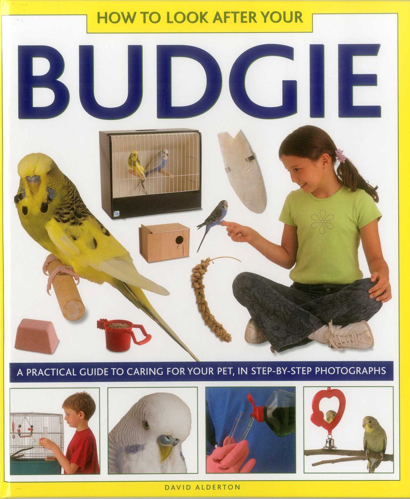 How To Look After Your Budgie: A Practical Guide To Caring For Your Pet, In Step-By-Step Photographs