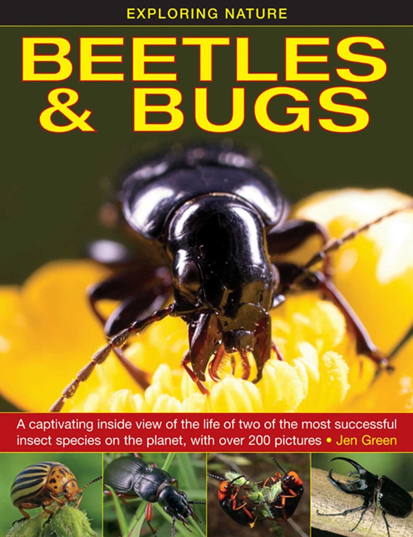 Exploring Nature: Beetles & Bugs: A Captivating Inside View Of The Life Of Two Of The Most Successful Insect Species On The Planet, With Over 200 Pictures.