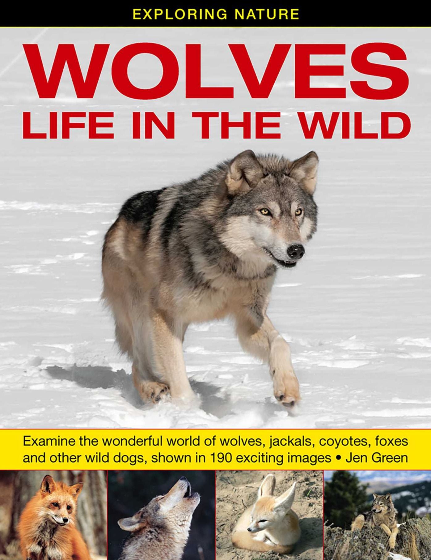 Exploring Nature: Wolves - Life In The Wild: Examine The Wonderful World Of Wolves, Jackals, Coyotes, Foxes And Other Wild Dogs, Shown In 190 Exciting Images.