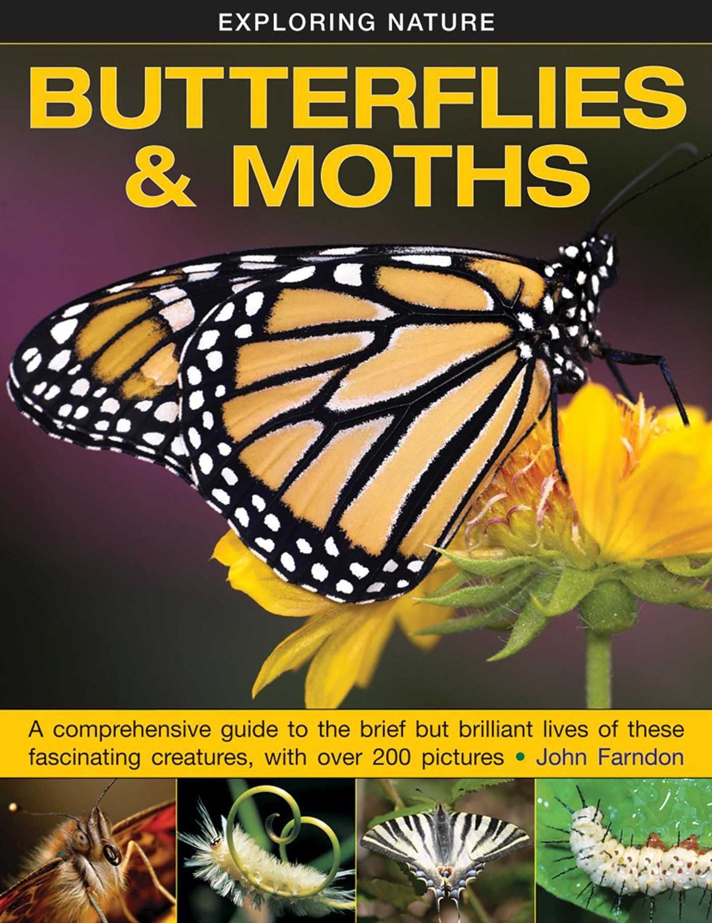 Exploring Nature: Butterflies & Moths: A Comprehensive Guide To The Brief But Brilliant Lives Of These Fascinating Creatures, With Over 200 Pictures