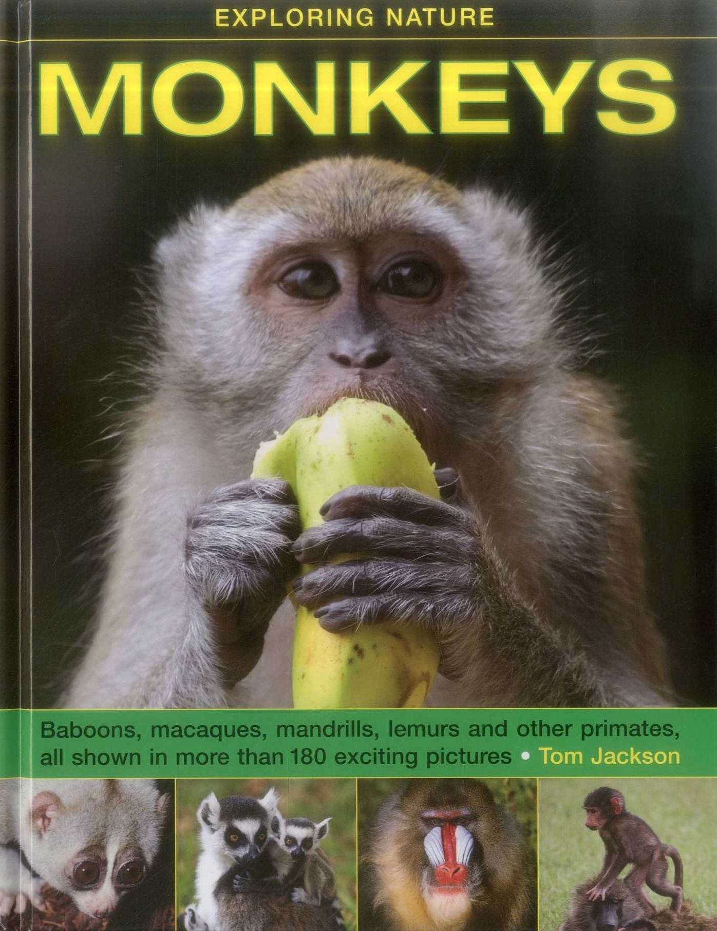 Exploring Nature: Monkeys: Baboons, Macaques, Mandrills, Lemurs And Other Primates, All Shown In More Than 180 Enticing Photographs