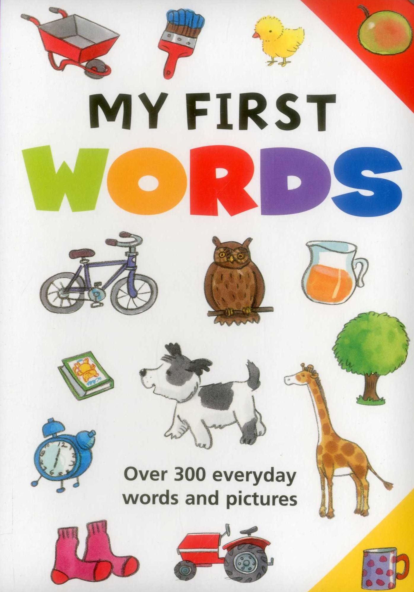 My First Words: Over 300 Everyday Words And Pictures