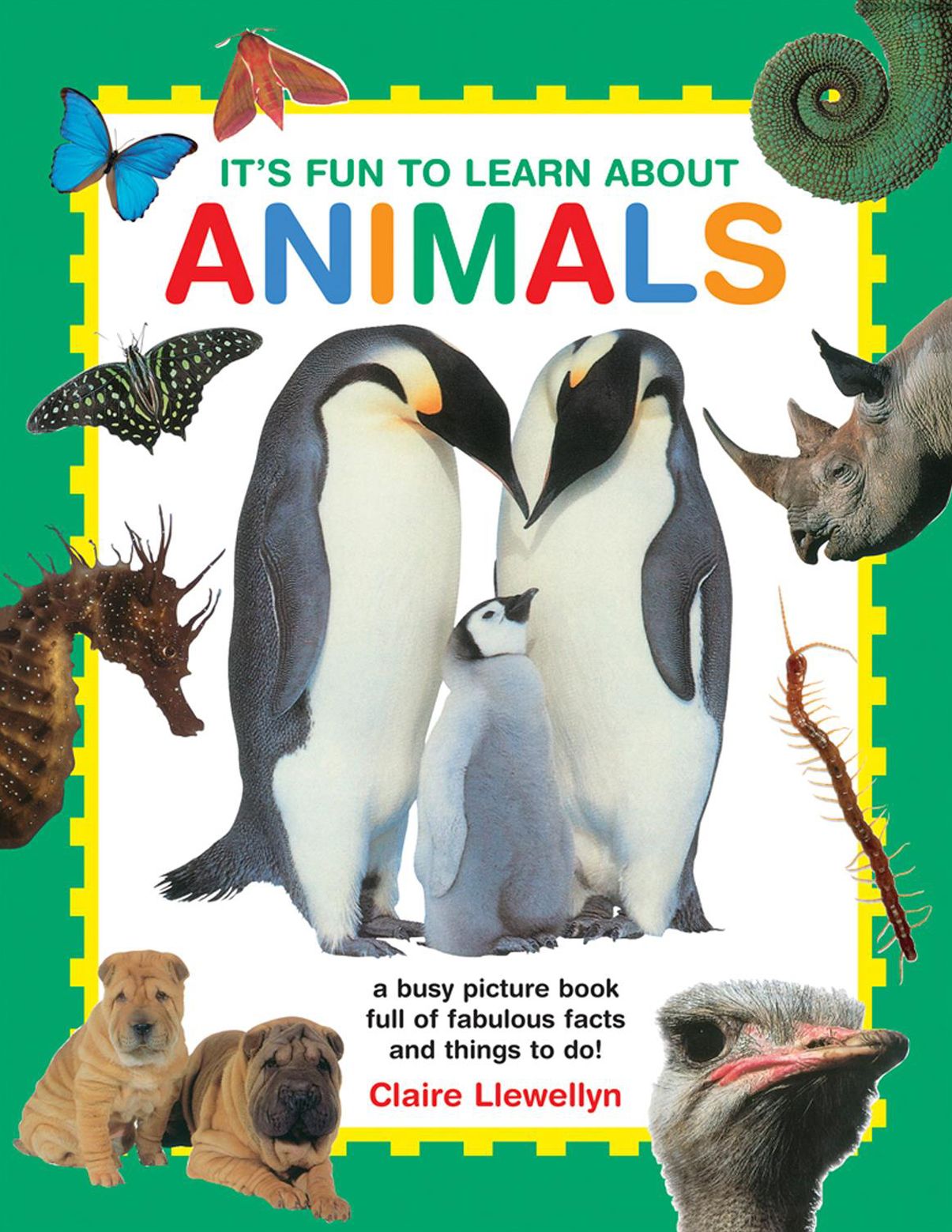 It's Fun to Learn About Animals: A Busy Picture Book Full Of Fabulous Facts And Things To Do!