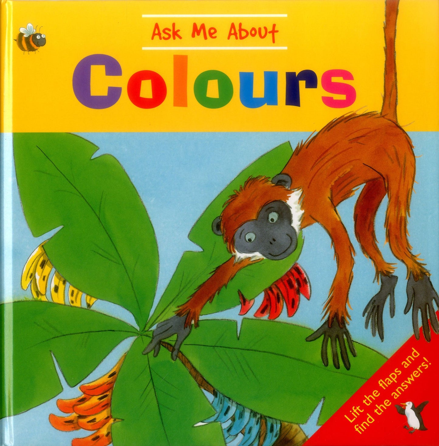 Ask Me About Colours: Lift The Flaps And Find The Answers!