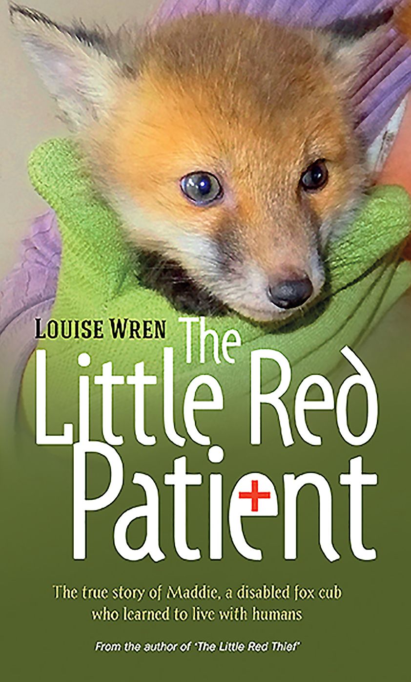 The Little Red Patient: The true story of Maddie, a disabled fox cub