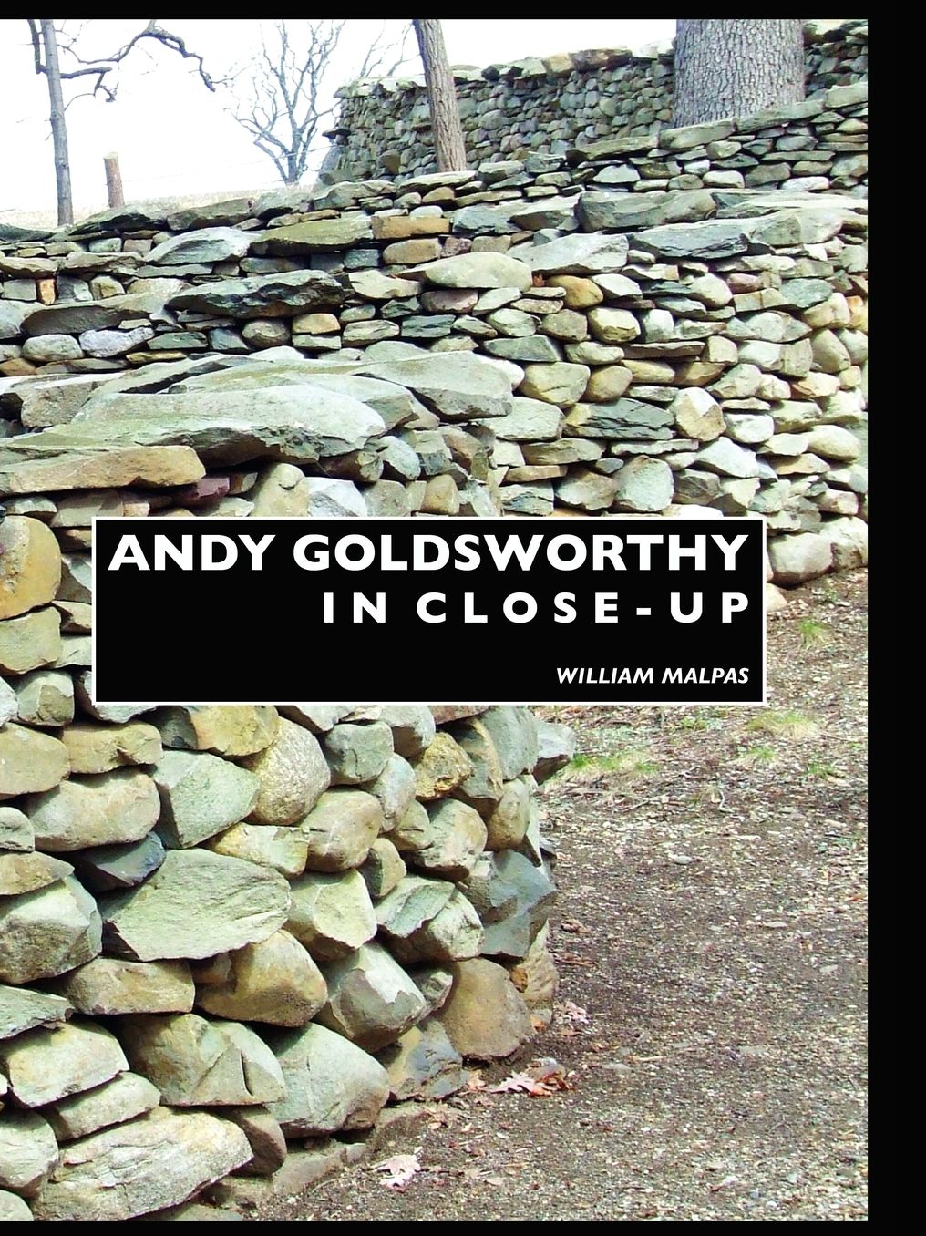 Andy Goldsworthy In Close-Up