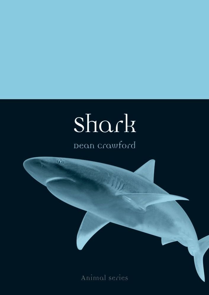 Shark