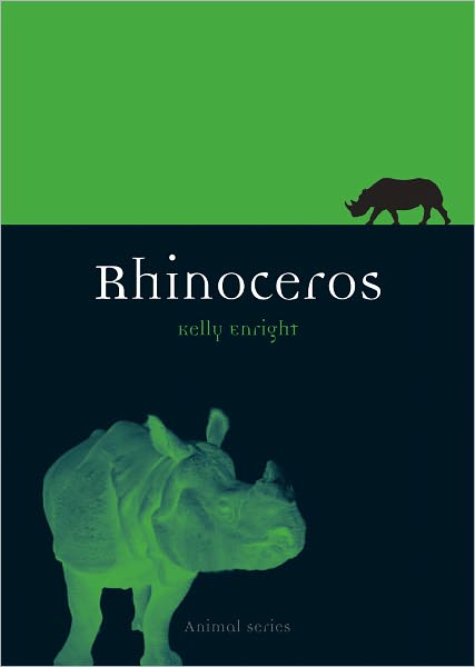 Rhinoceros