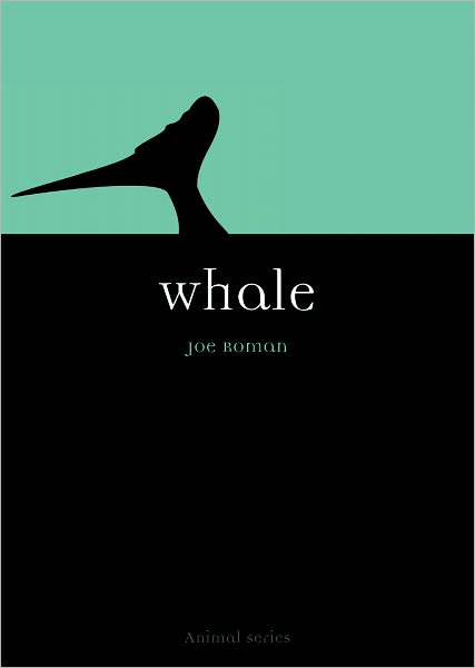 Whale