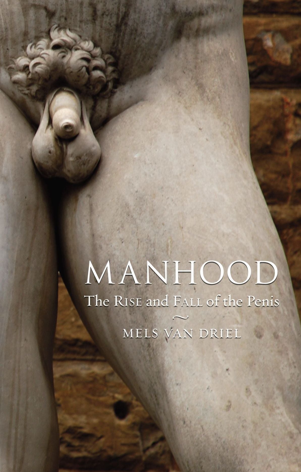 Manhood: The Rise and Fall of the Penis