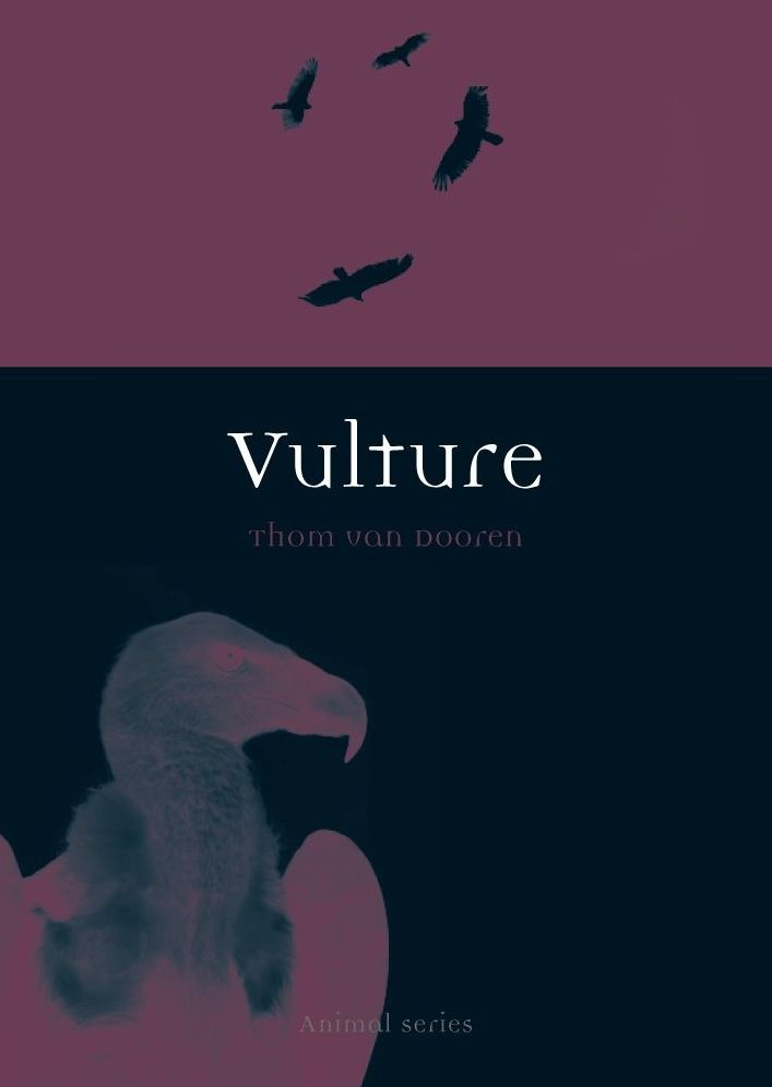 Vulture