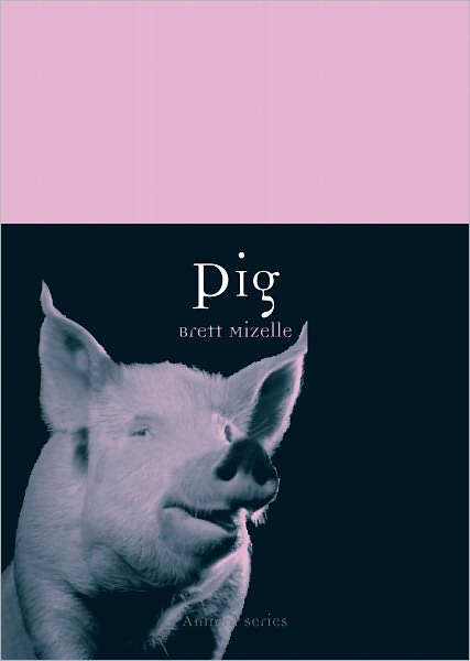 Pig