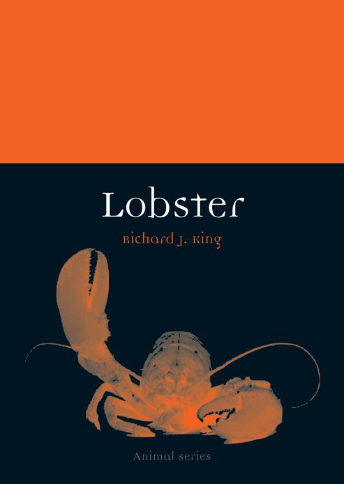 Lobster (Animal)
