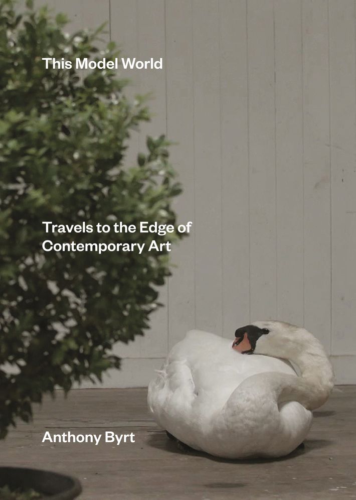 This Model World: Travels to the Edge of Contemporary Art