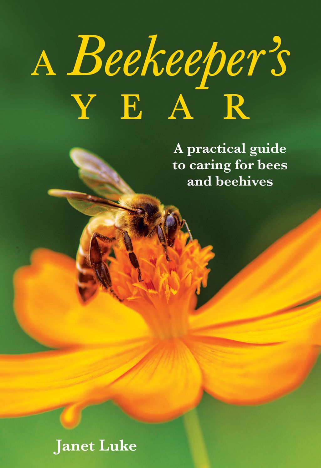 A Beekeeper's Year: A Practical Guide to Caring for Bees and Beehives