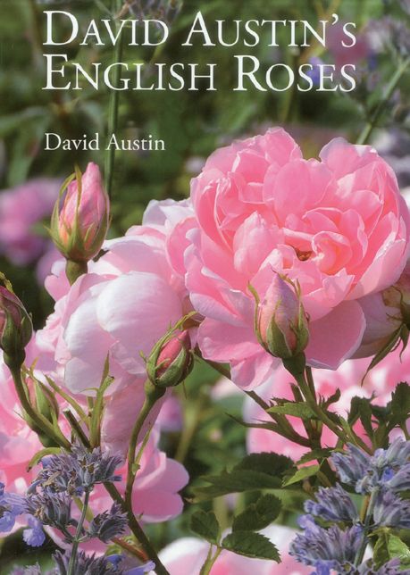 David Austin's English Roses