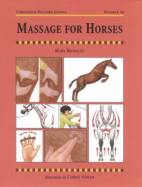Massage for Horses