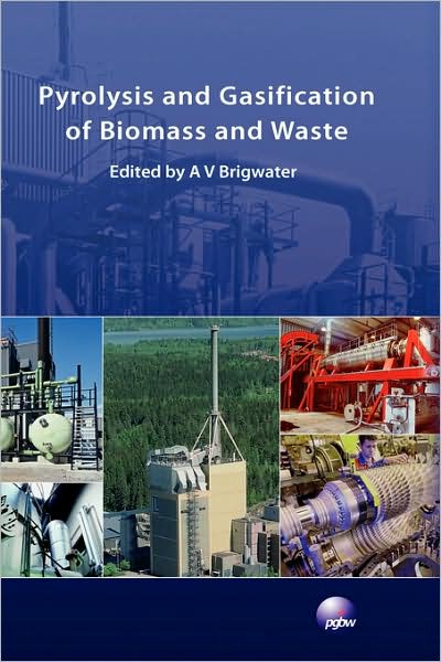Pyrolysis And Gasification Of Biomass And Waste