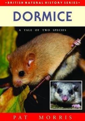 Dormice: A Tale of Two Species