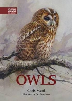 Owls
