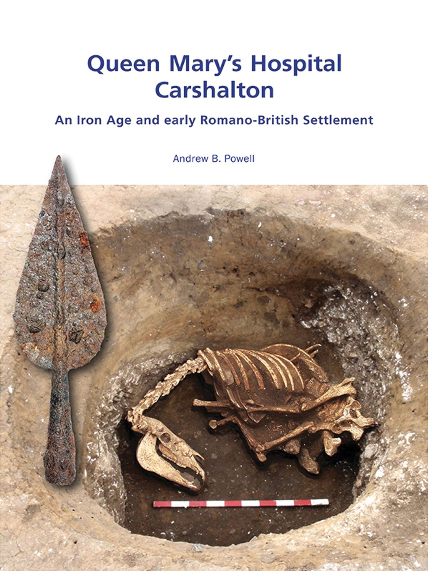 Queen Mary's Hospital, Charshalton: An Iron Age and Early Romano-British Settlement