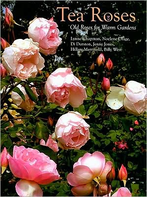 Tea Roses: Old Roses for Warm Gardens