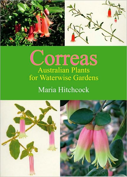 Correas: Australian Plants for Waterwise Gardens