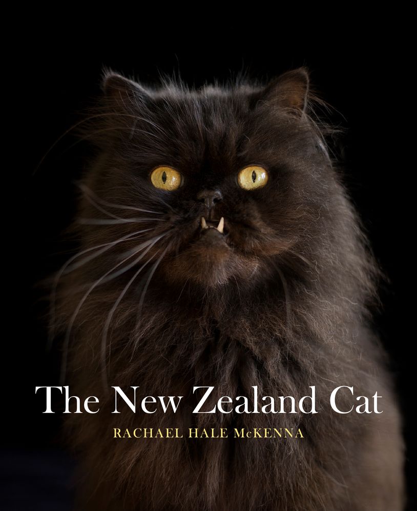 New Zealand Cat