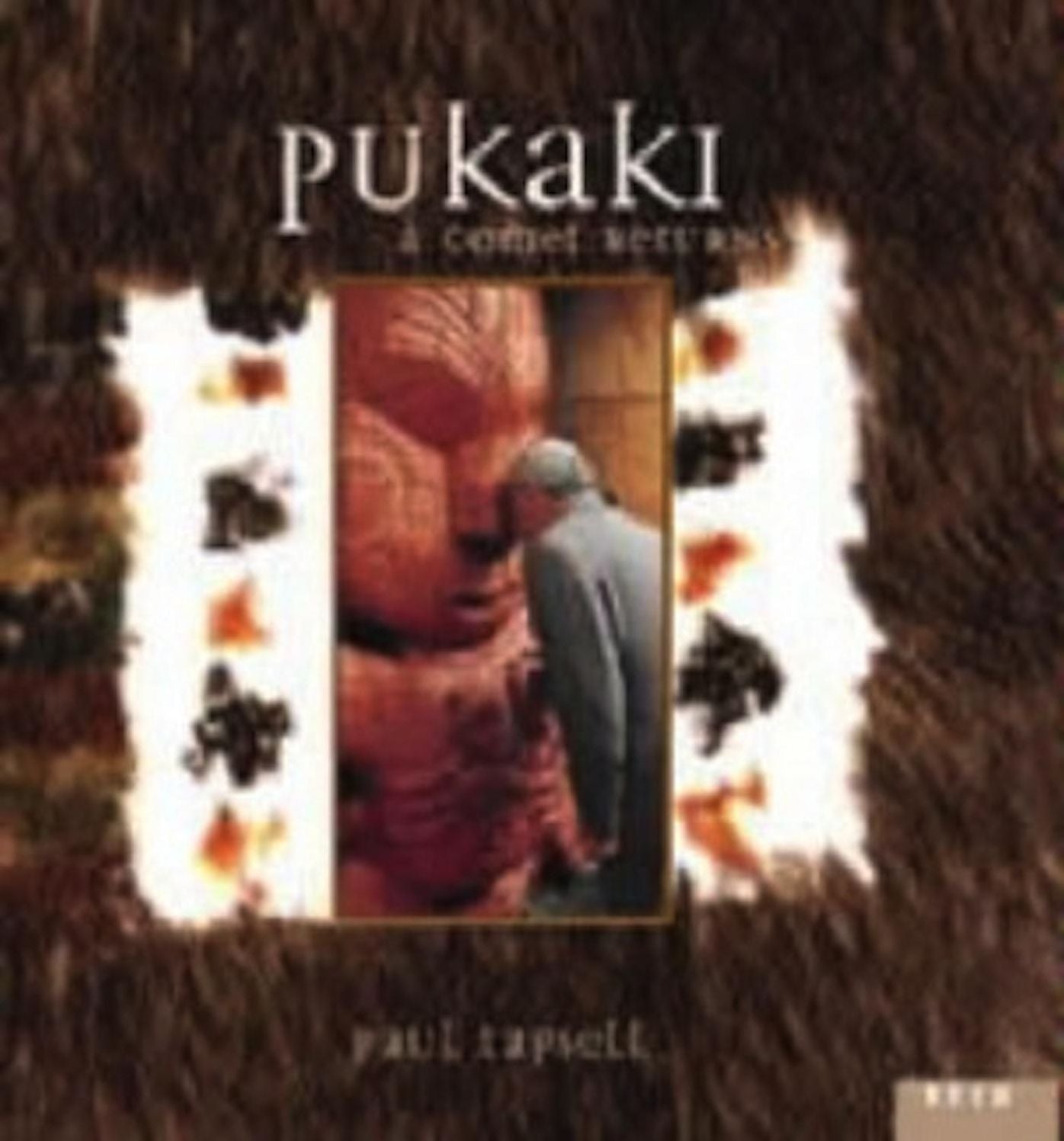 Pukaki - a comet returns
