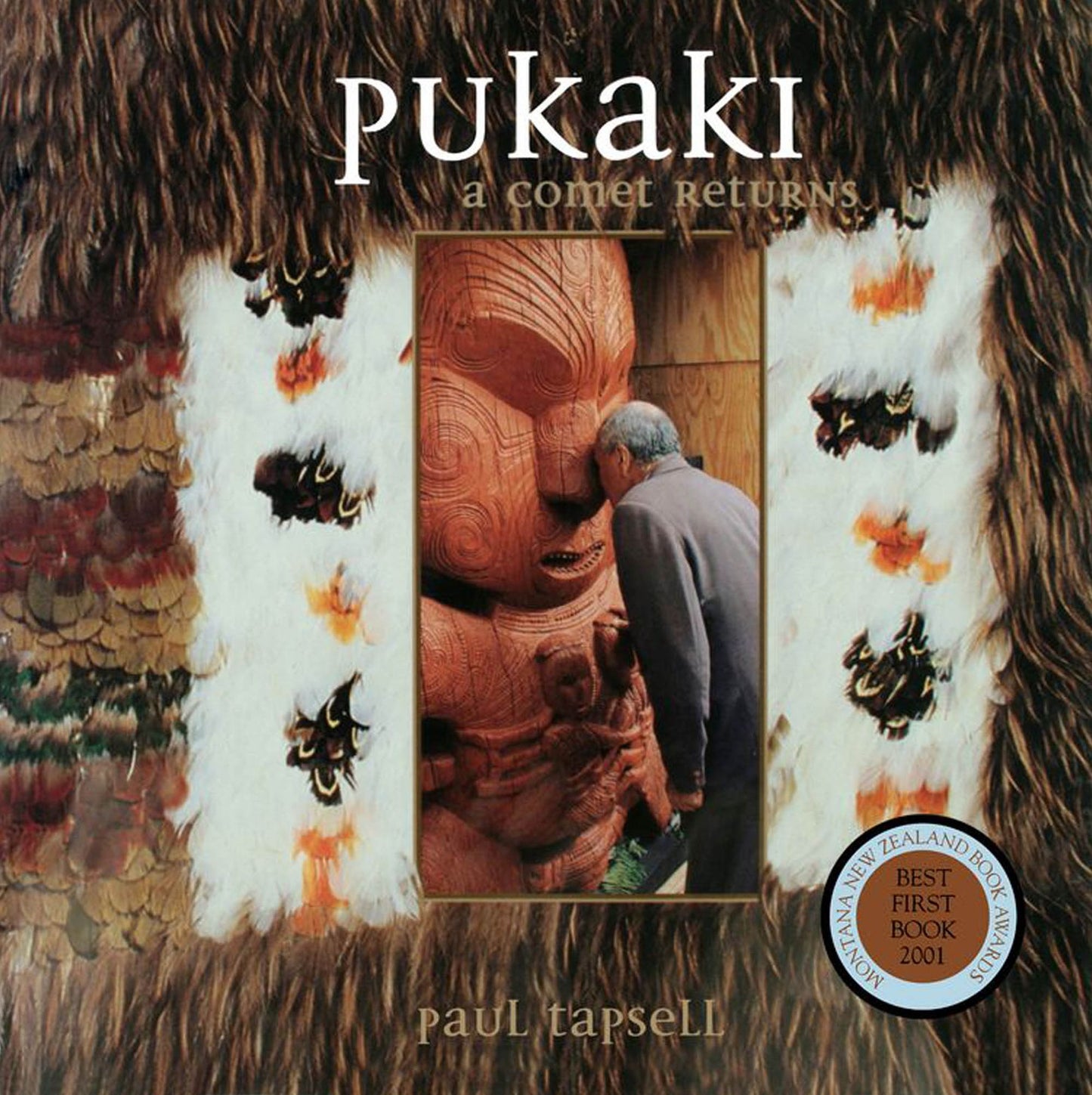 Pukaki: a comet returns
