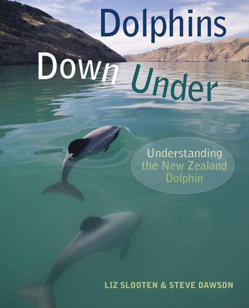 Dolphins Down Under: Understanding the New Zealand Dolphin