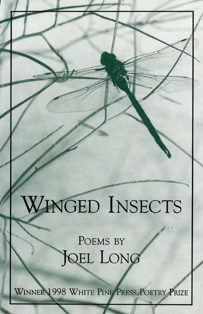 Winged Insects