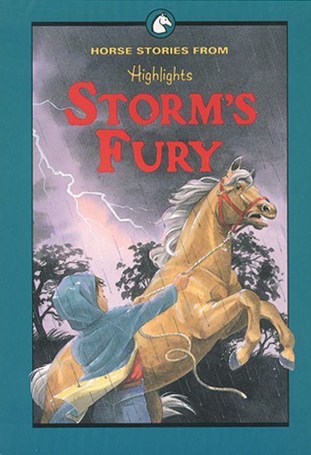 Storm's Fury