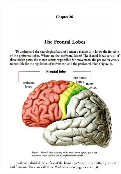 Did Man Create God?: Is Your Spiritual Brain at Peace with Your Thinking Brain?