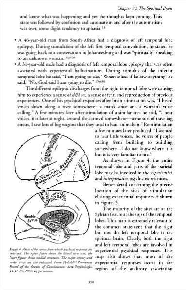 Did Man Create God?: Is Your Spiritual Brain at Peace with Your Thinking Brain?