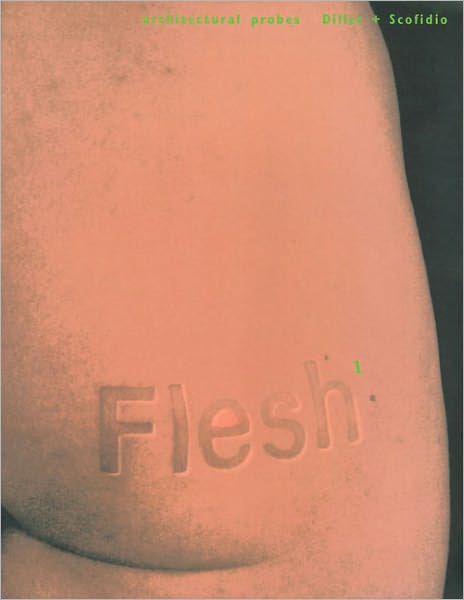 Flesh: Architectural Probes