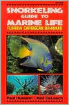 Snorkeling Guide to Marine Life: Florida, Caribbean, Bahamas